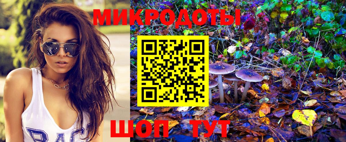 Галлюциногенные грибы MAGIC MUSHROOMS Будённовск