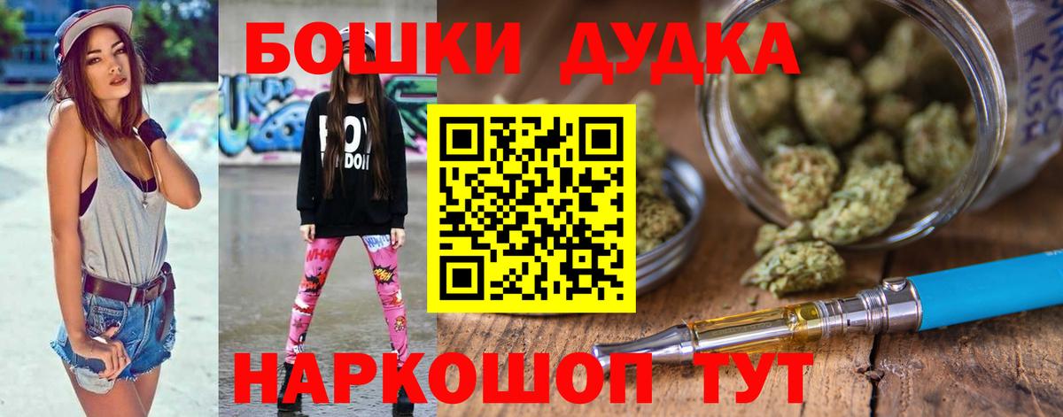 Бошки Шишки планчик Будённовск